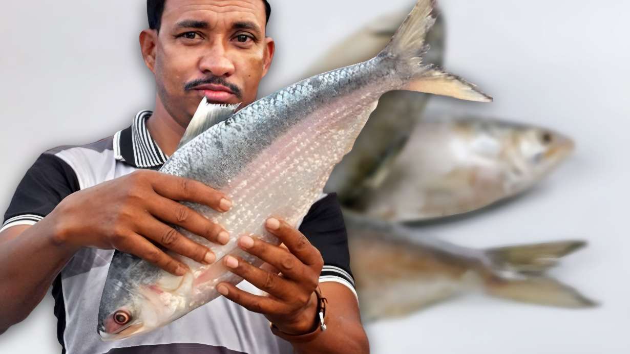 Jalangi ilish