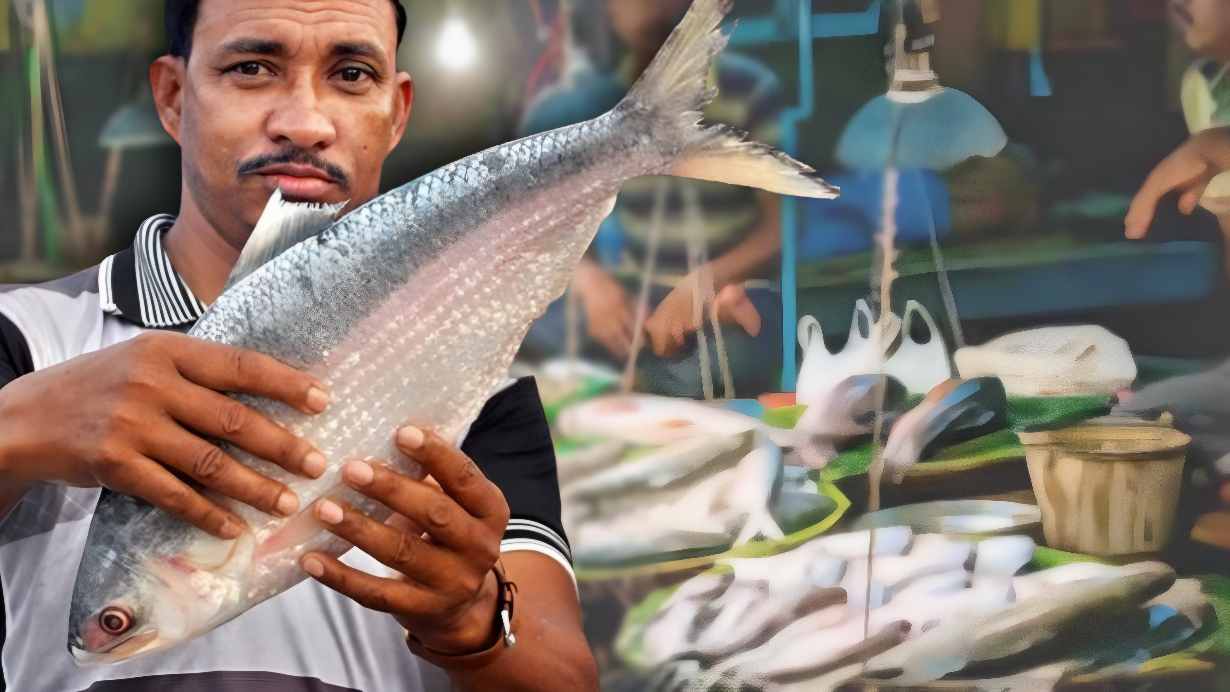 Now you can buy fresh ilish from online