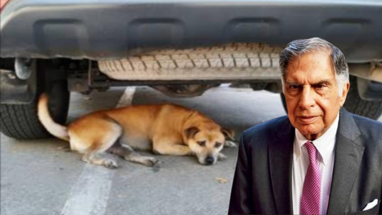 Ratan Tata heartwarming appeal