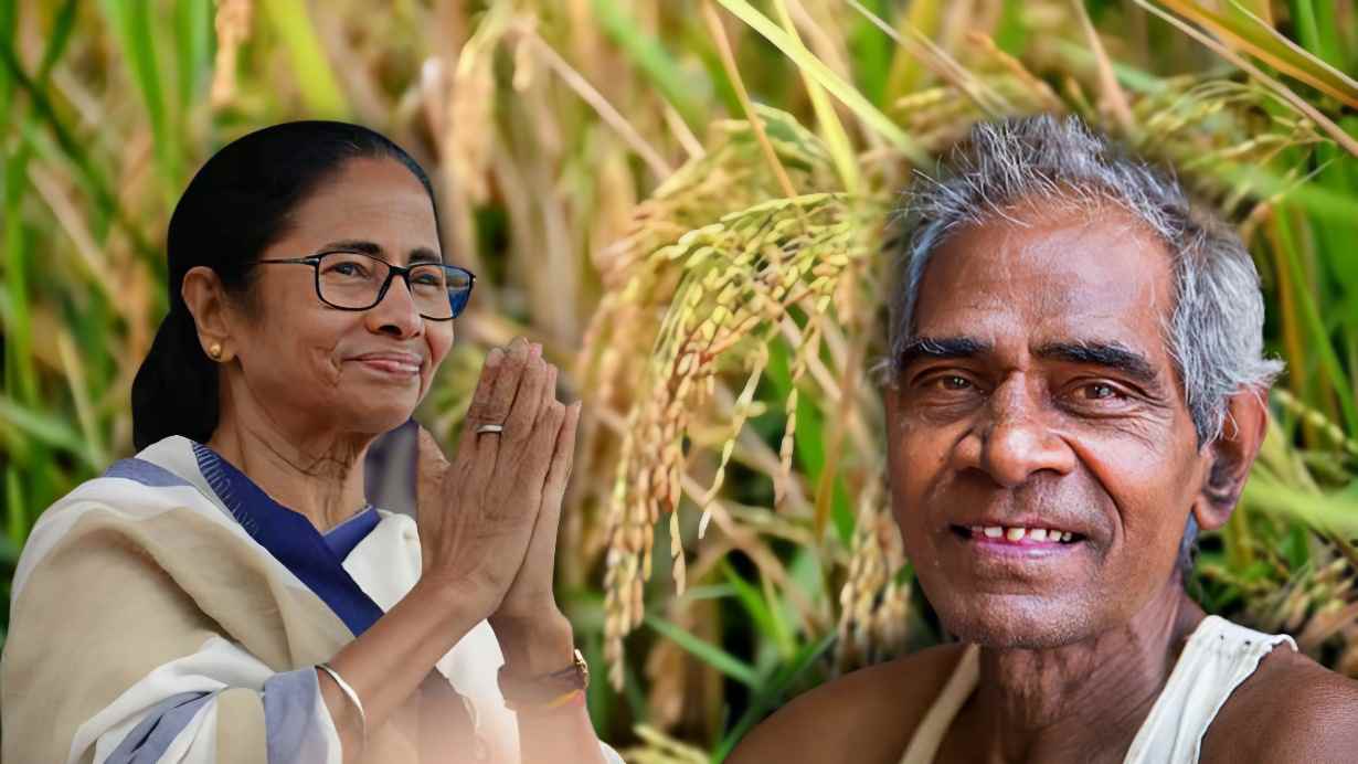 Rate of paddy increased by west bengal government