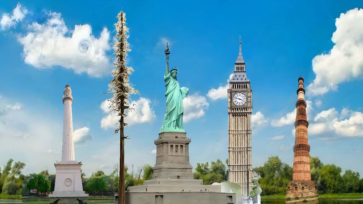 Tallest tree in world এটই হল বশবর সবচয লমব গছ য হর মনব কতব মনর সটযচ অফ