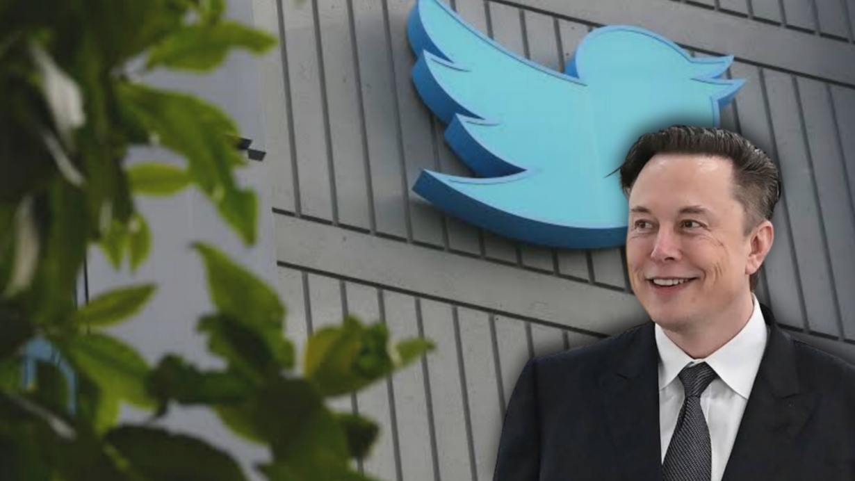 elon musk sets limit on numbers of read tweet