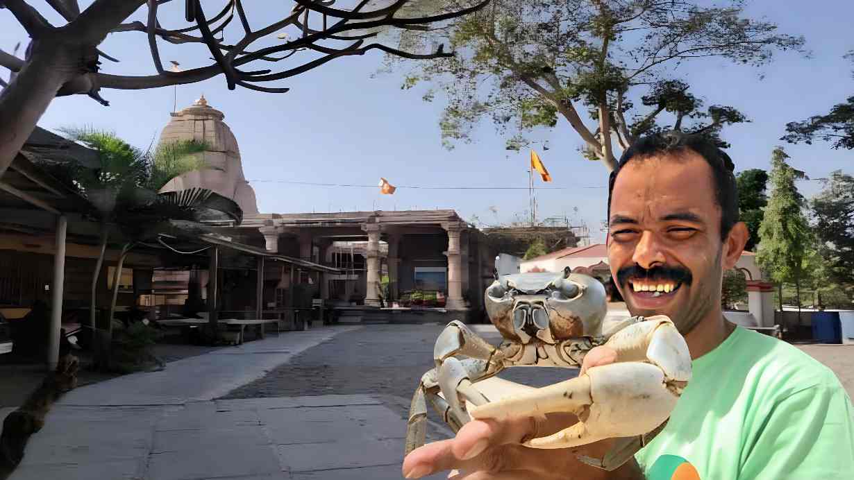 Live Crabs as Prasad