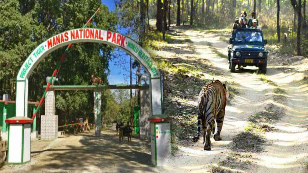 Manas National Park