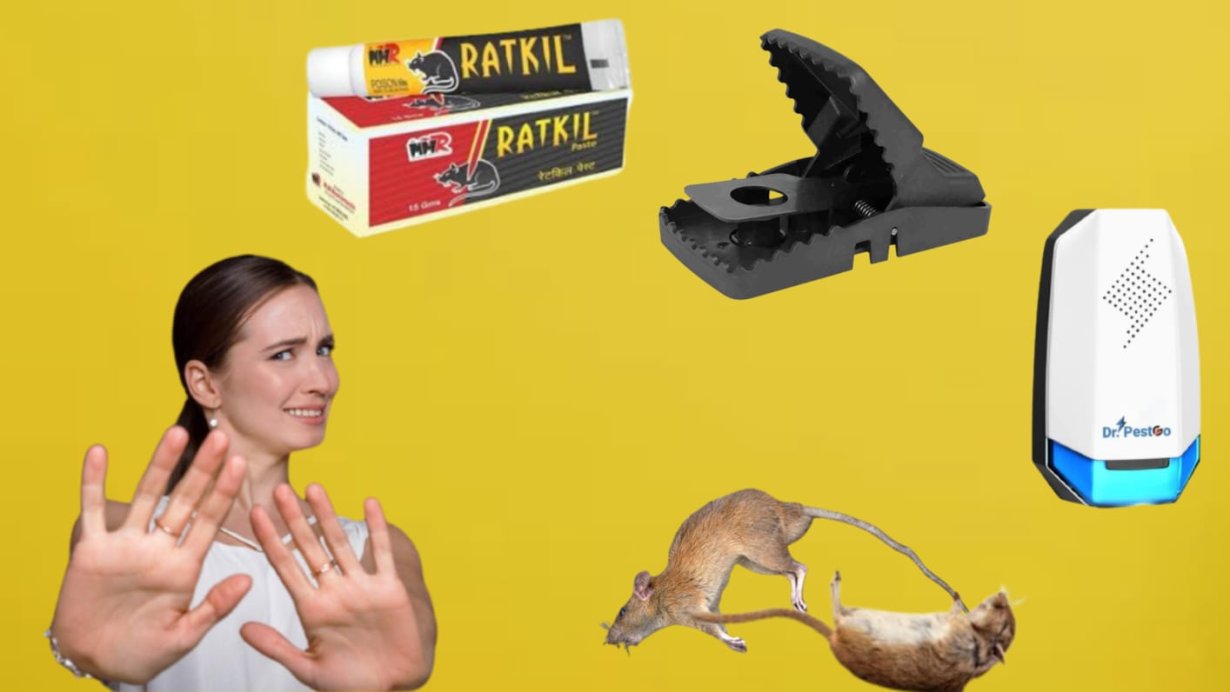 Rat Killing Remedies