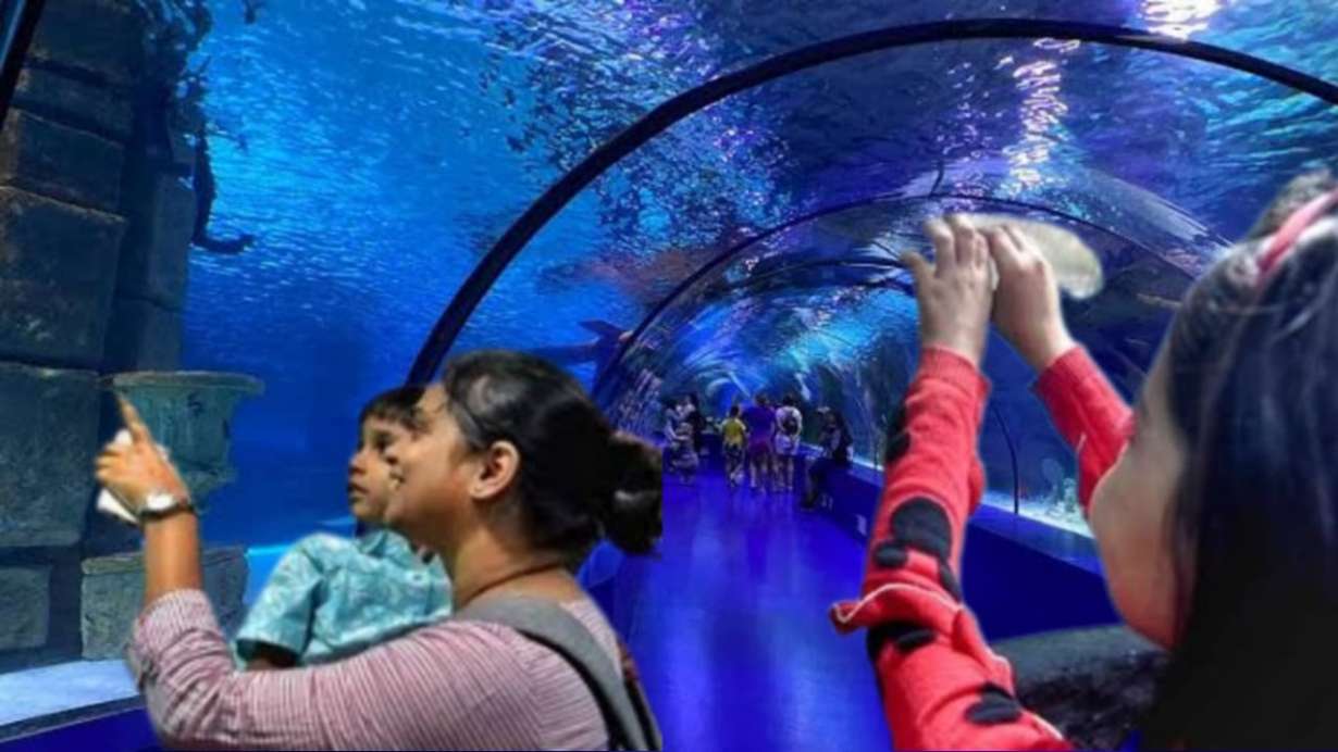 Underwater Tunnel Aquarium