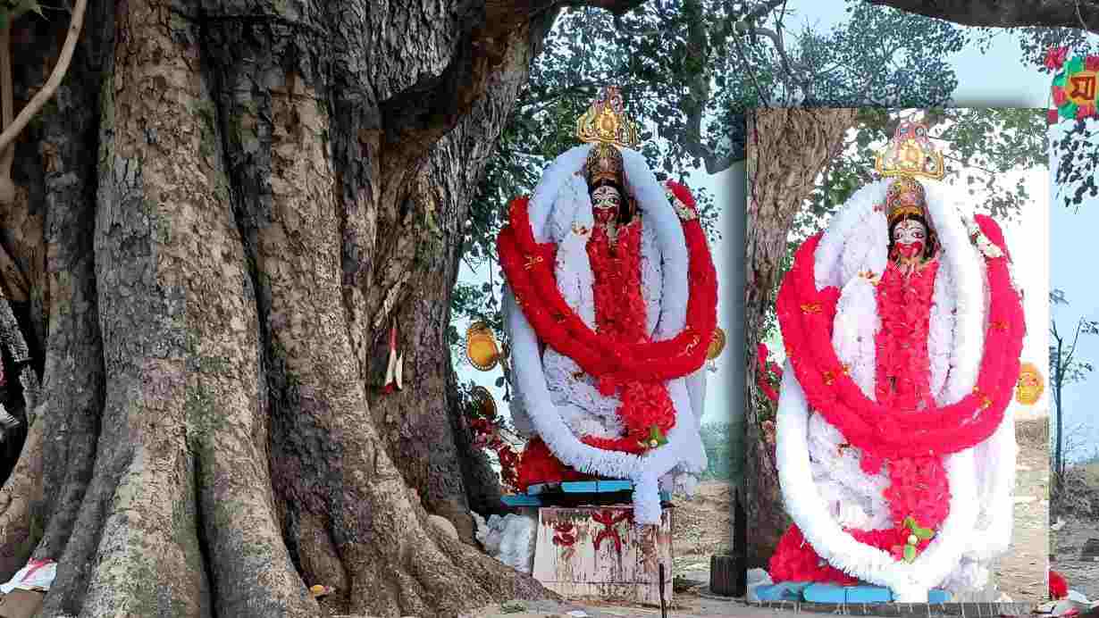 White color kali idol