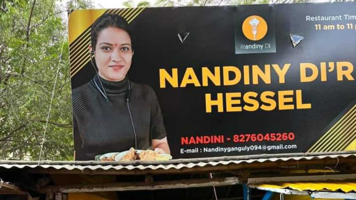 Nandini Dir Hessel