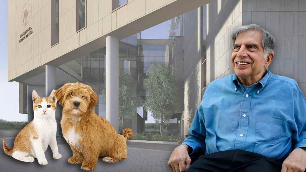 Ratan Tata’s Animal Hospital