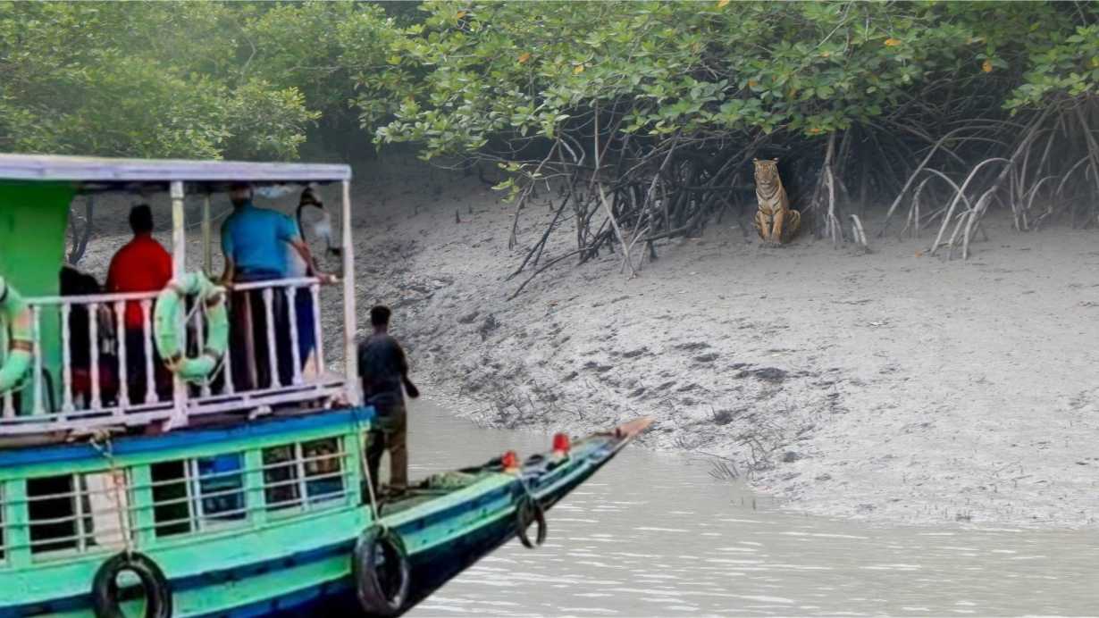 Sundarbans Tour