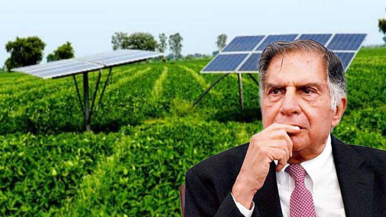 Tata Solar Project in Dooars