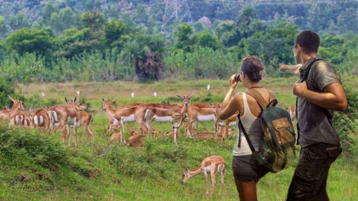 Travel Location in Odisha