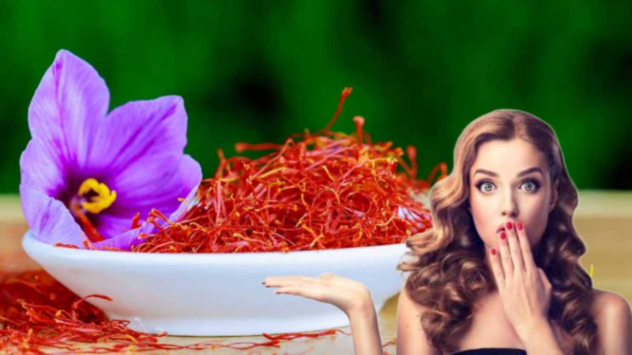 Saffron: কেন কেশরের দাম বিশ্বে সবচেয়ে বেশি! এর গুণাগুণ কী কী