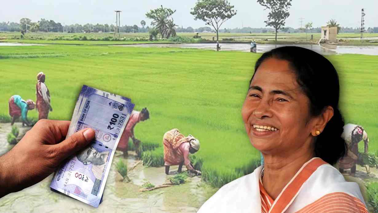 Costly Paddy Cultivation