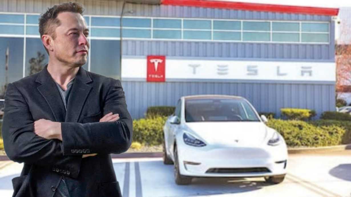 Tesla Showrooms