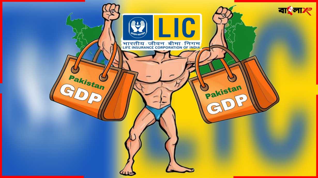 Assets of LIC