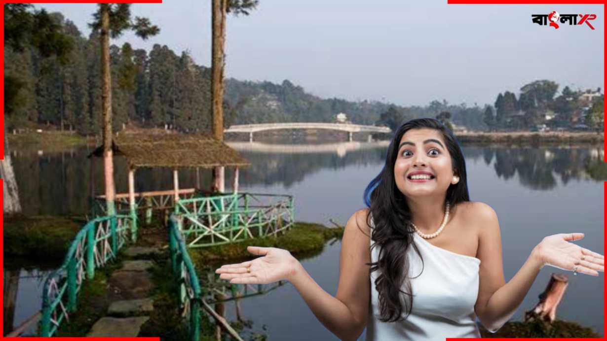 Mirik Lake Skywalk