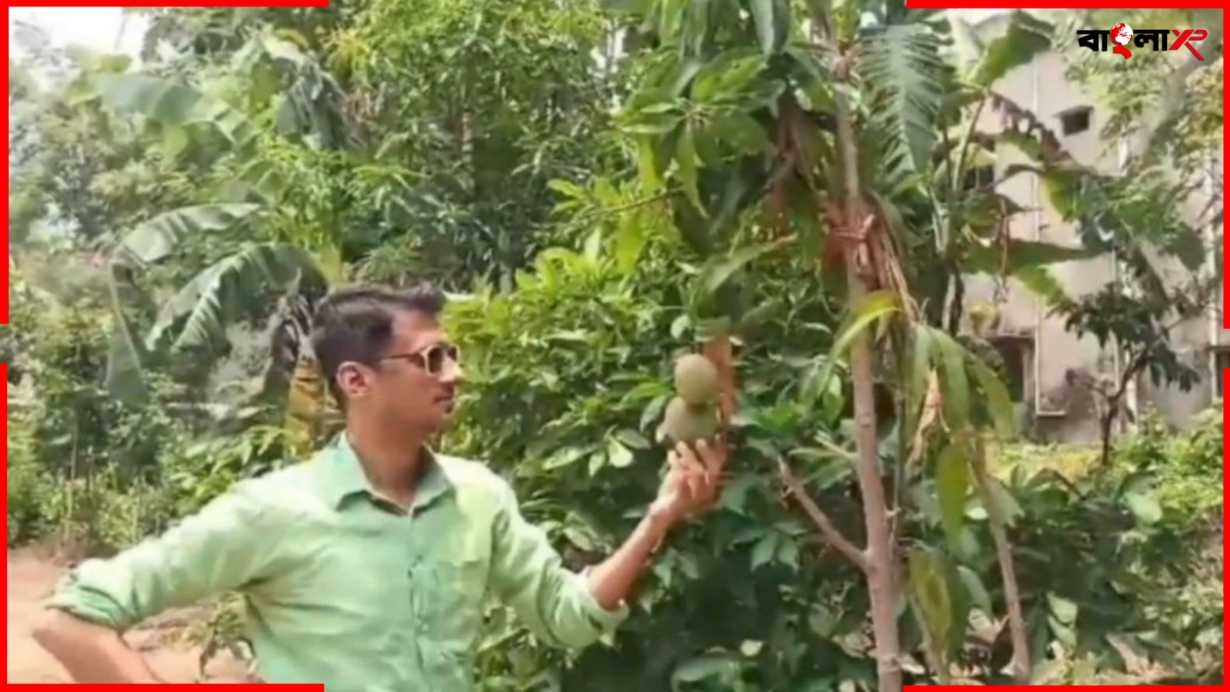 Home Farming of Partha Dey