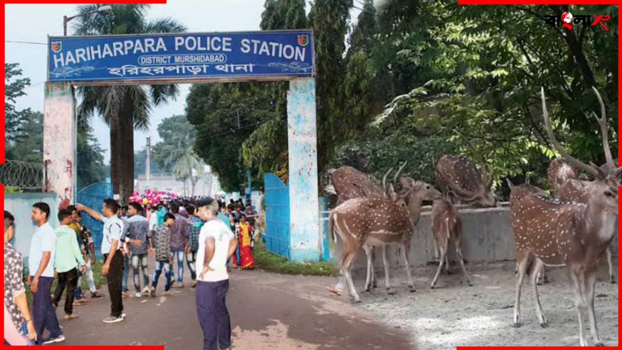 Police Station Tourism