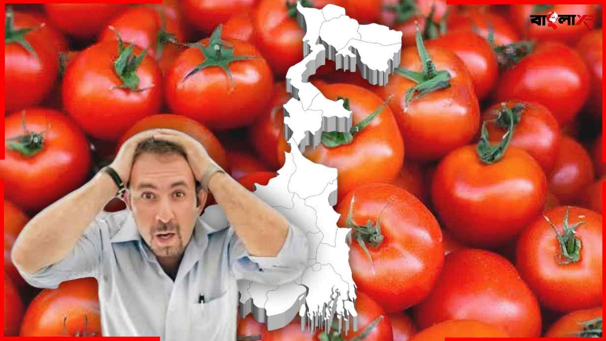 Tomato Price In WB