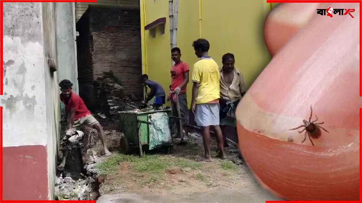 Scrub Typhus Panic In Birbhum