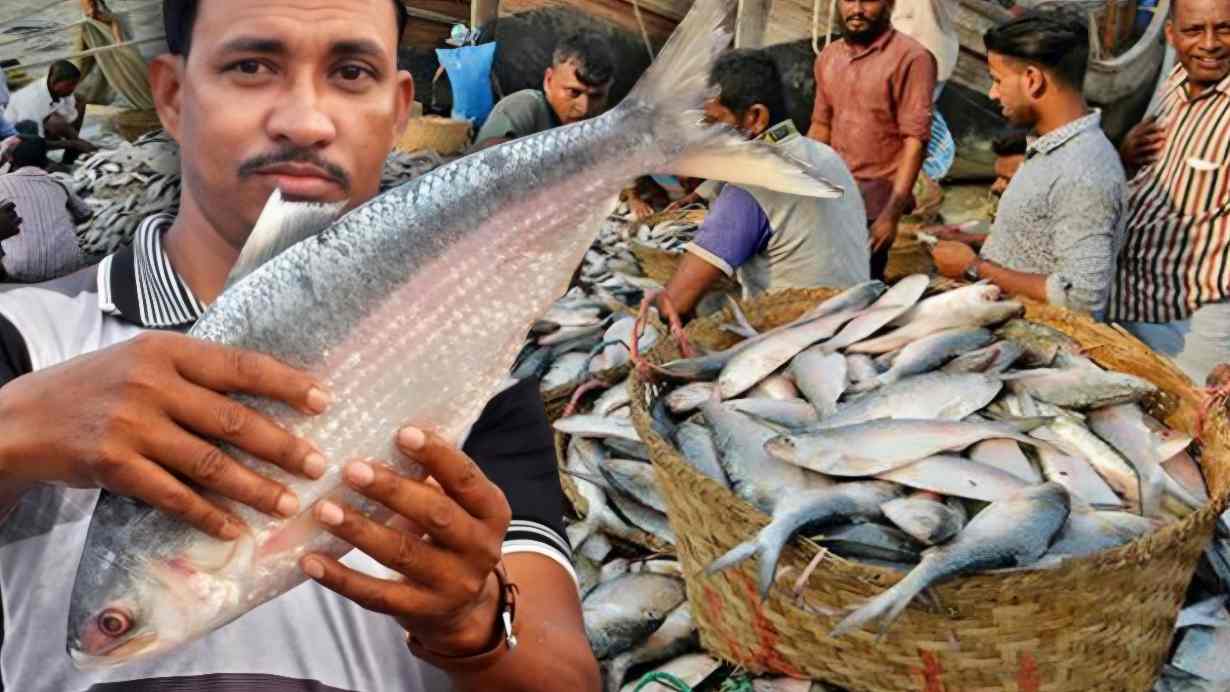 Ilish Price