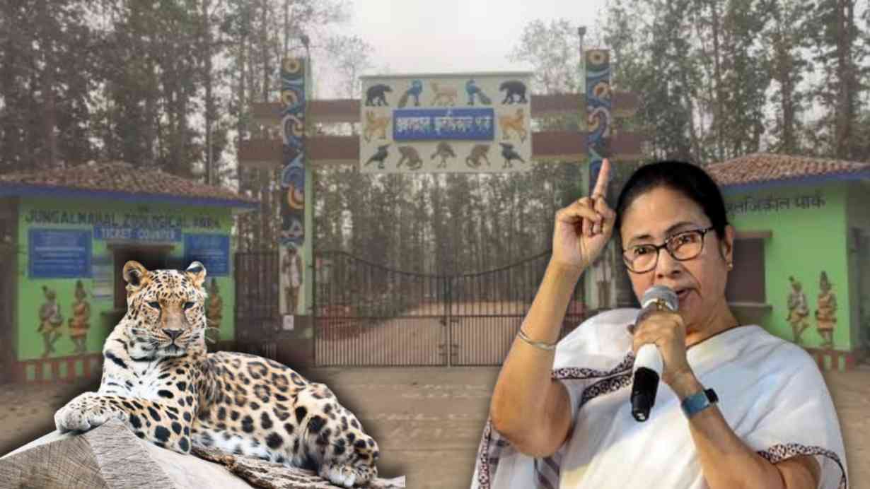 Jhargram Tiger Safari