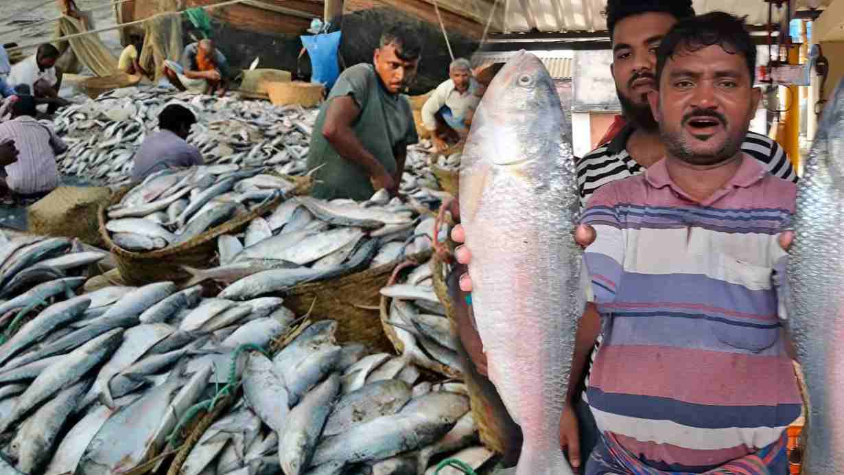 Best Fish Market Kolkata