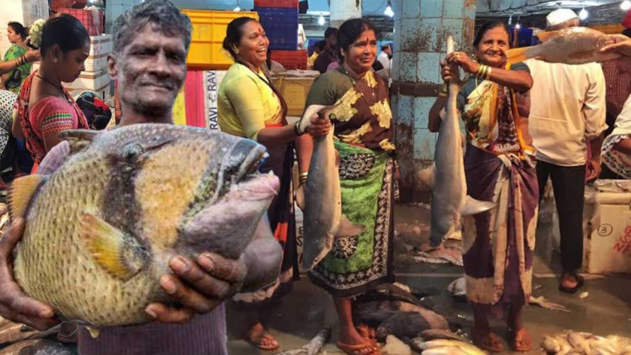 Fish Market