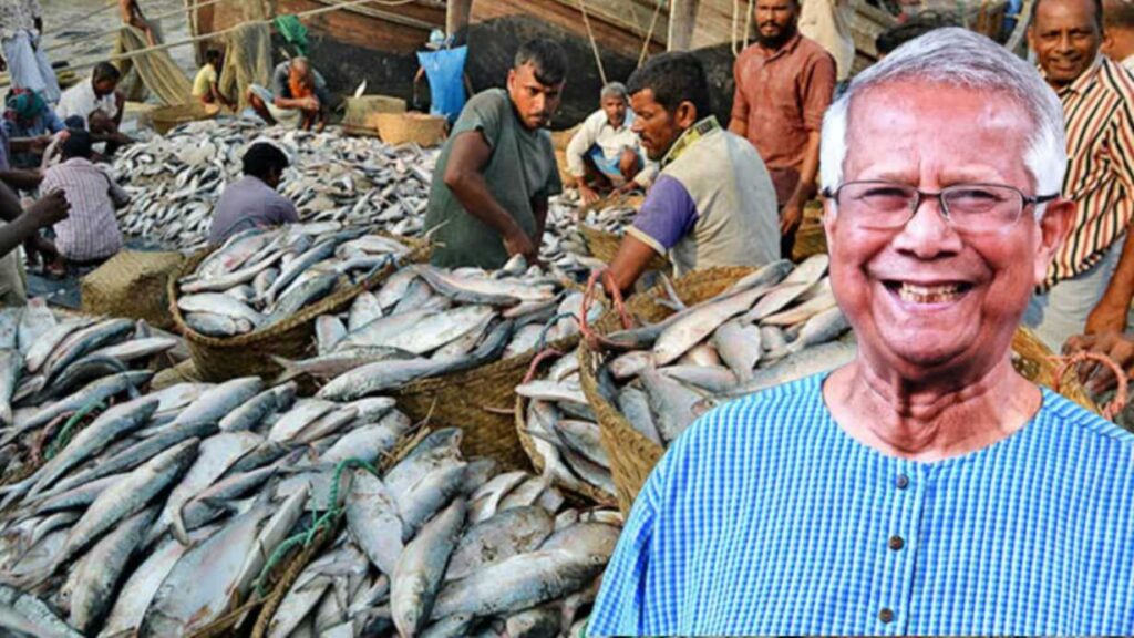 Hilsa Fish