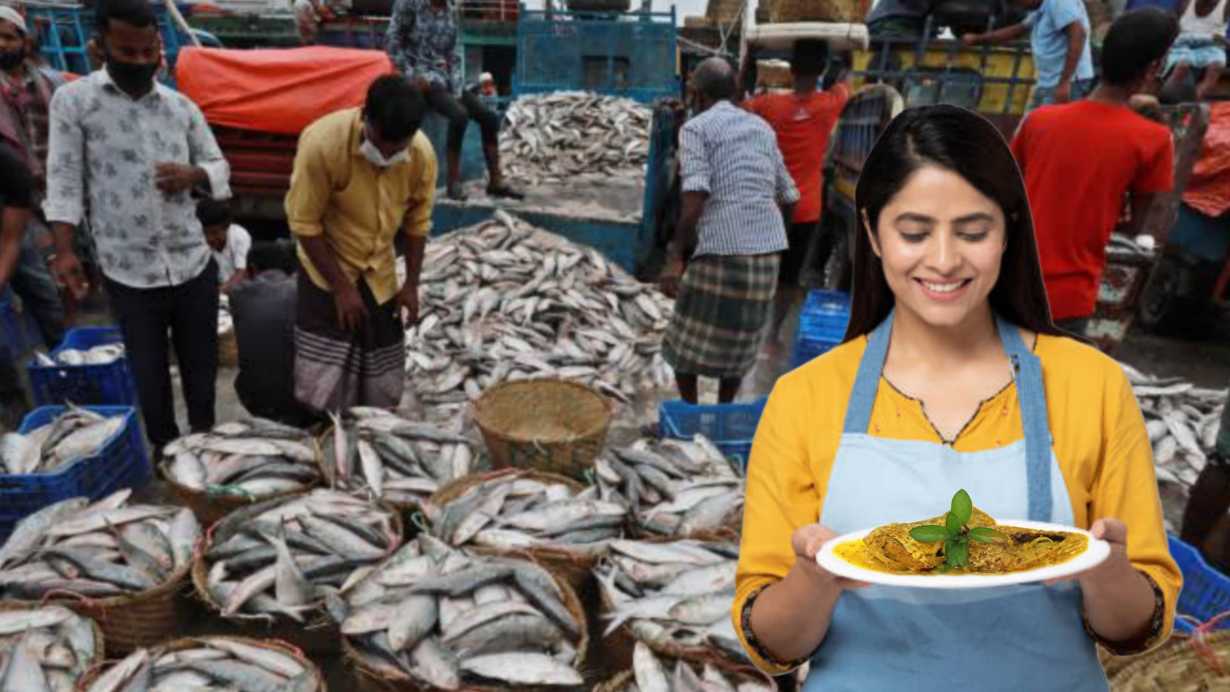 Hilsa Fish Rate