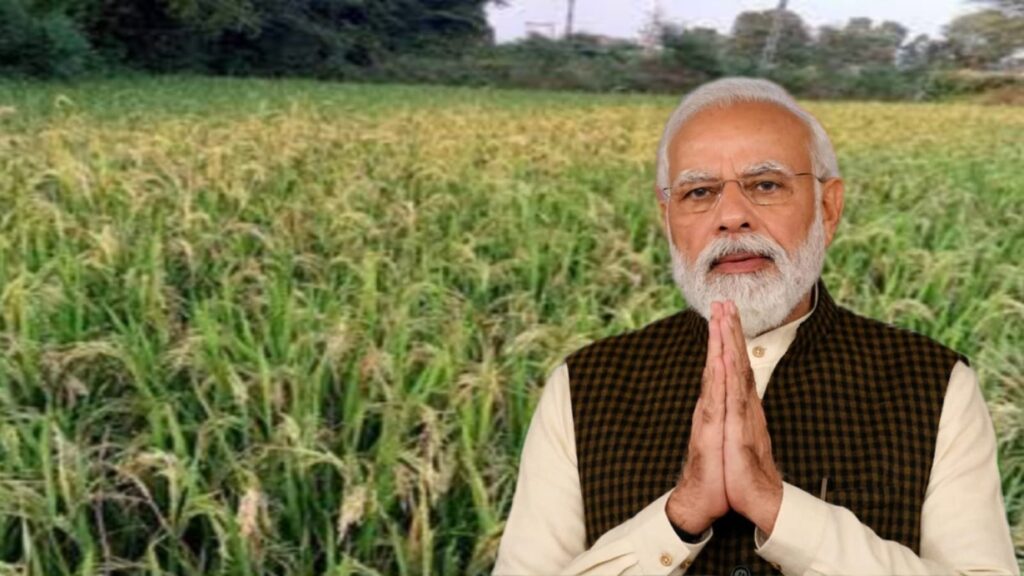 MSP for Rabi Crops