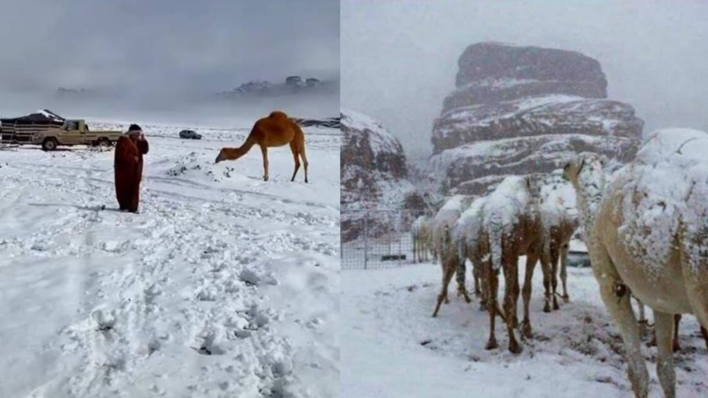 Snowfall in Saudi Arabia