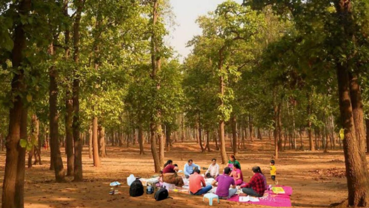 Unique Picnic Spots