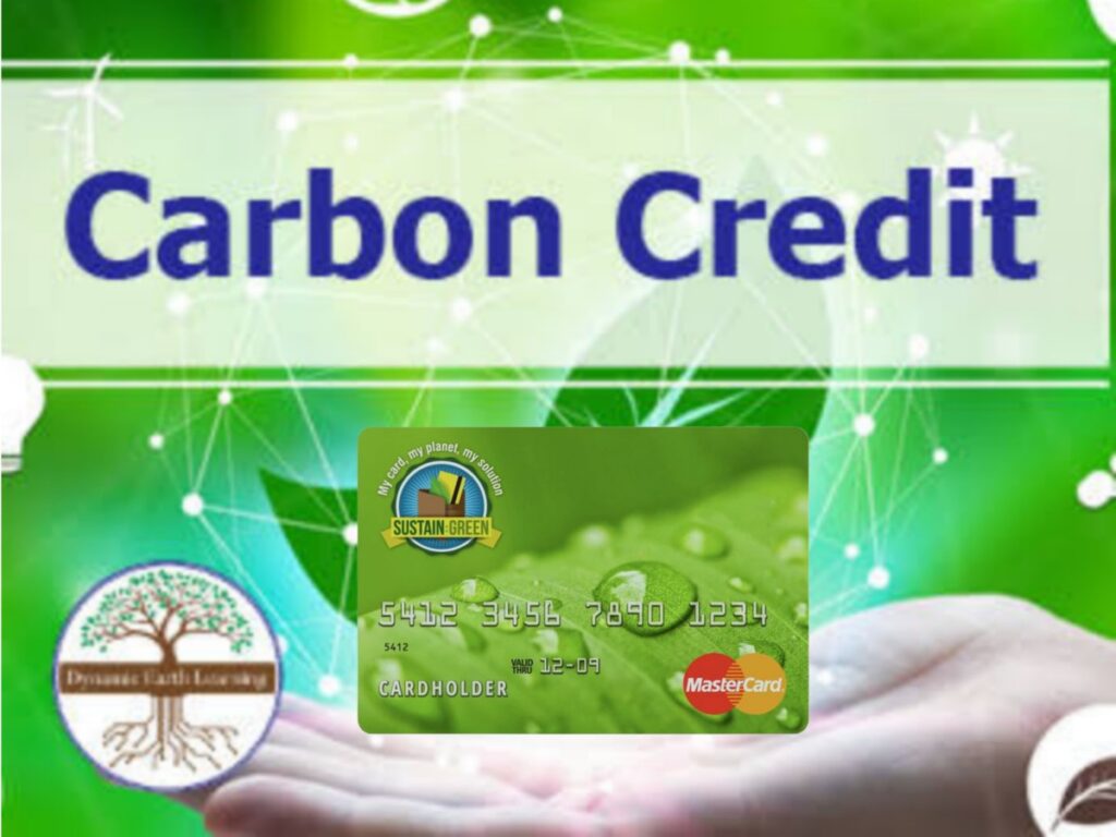 Carbon Credit Card