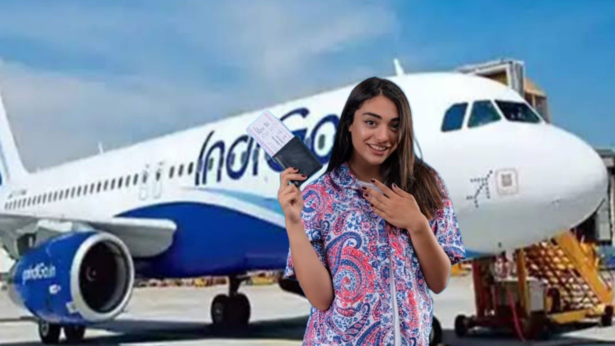 Indigo Flight Ticket