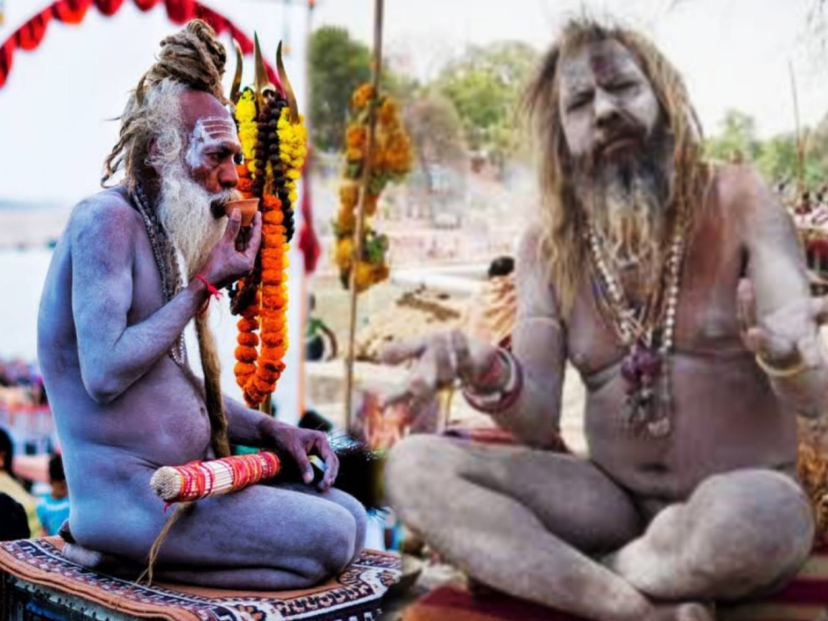 Naga Sadhu Hair