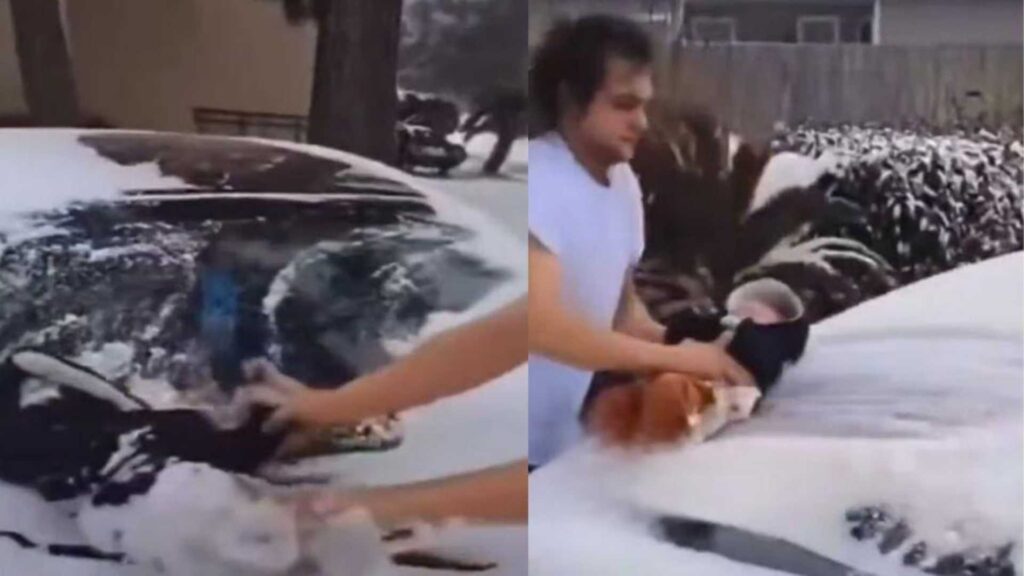 Viral Video of car cleaning