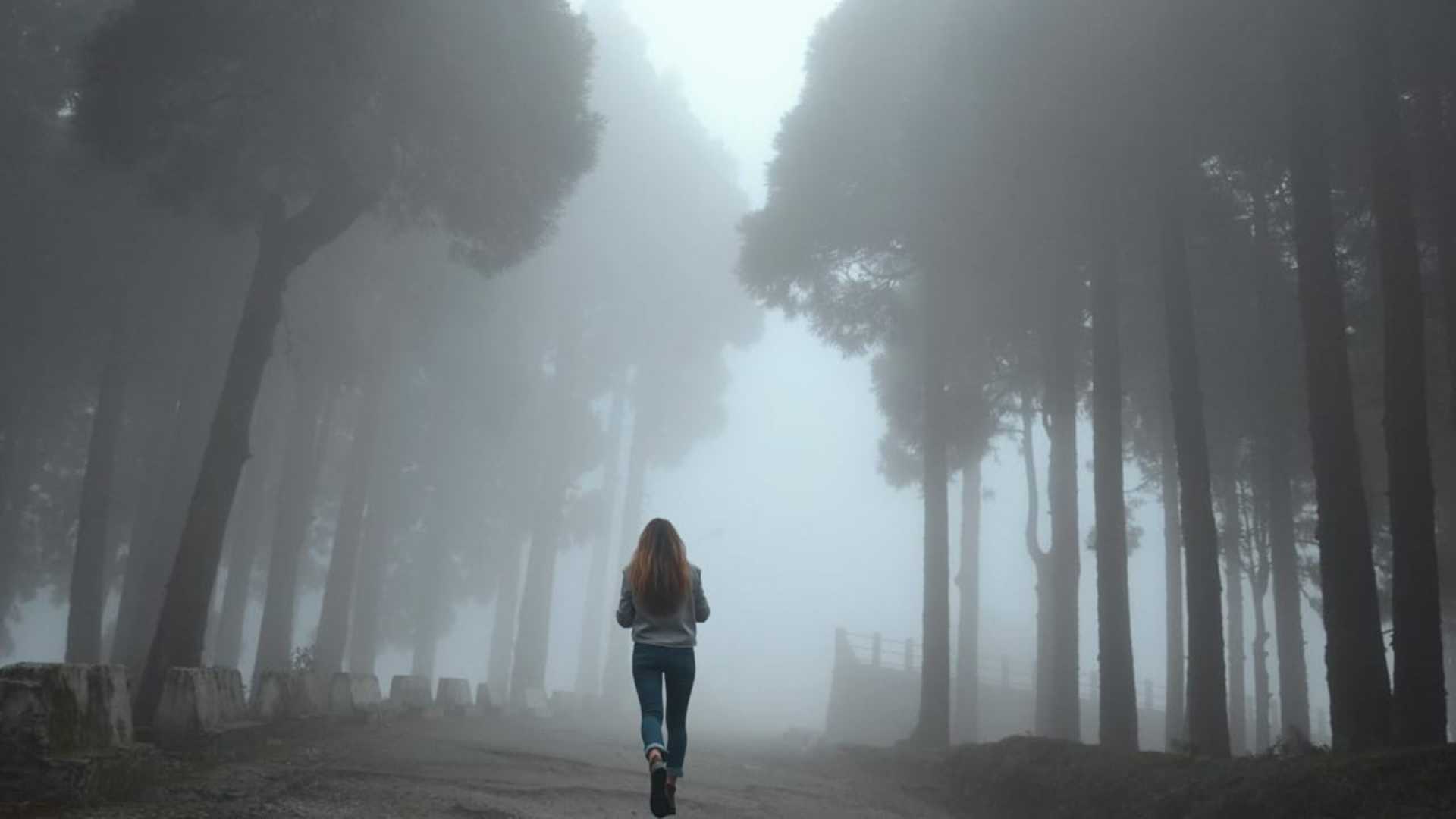 Darjeeling Trip