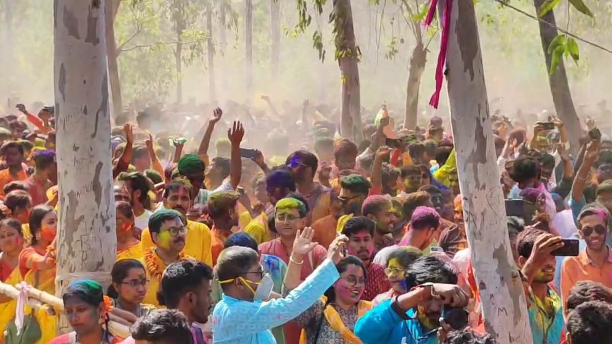 বসন্ত উৎসব