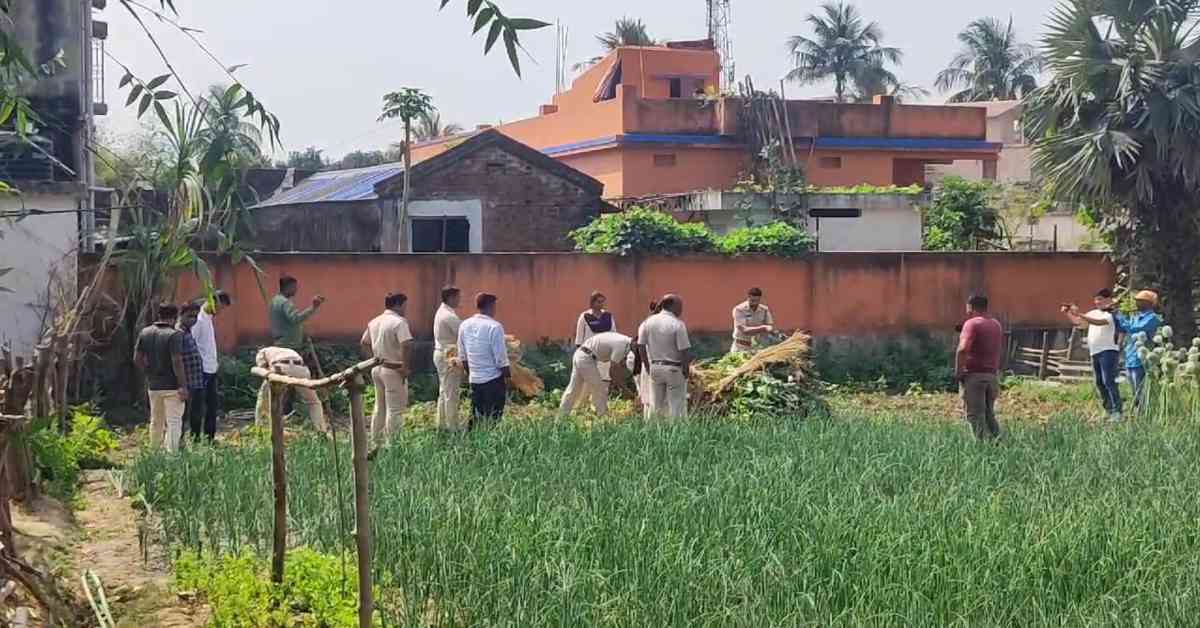 নষ্ট করা হচ্ছে পোস্ত গাছ