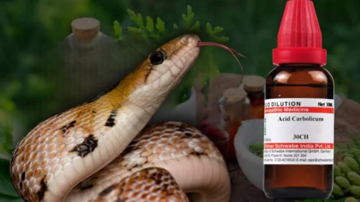 সাপ ও কার্বলিক অ্যাসিড