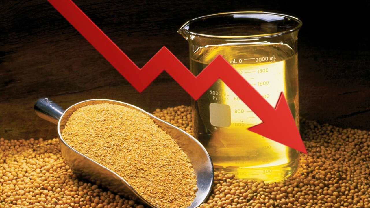 দাম কমবে রান্নার তেলের