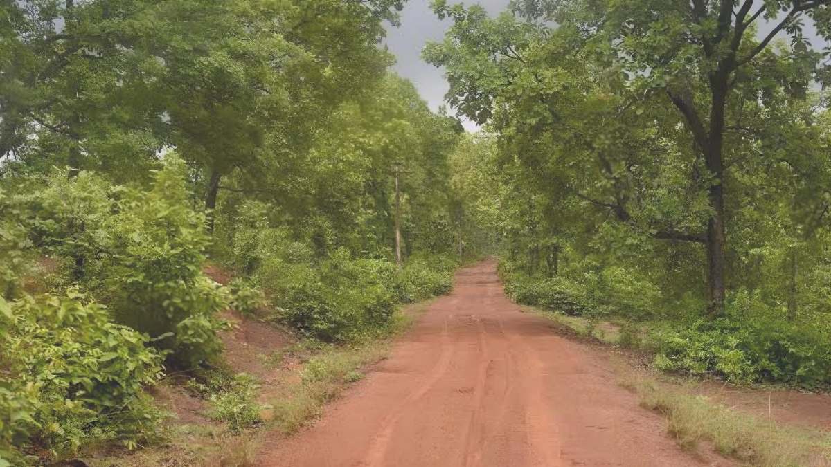 জয়পুর জঙ্গল