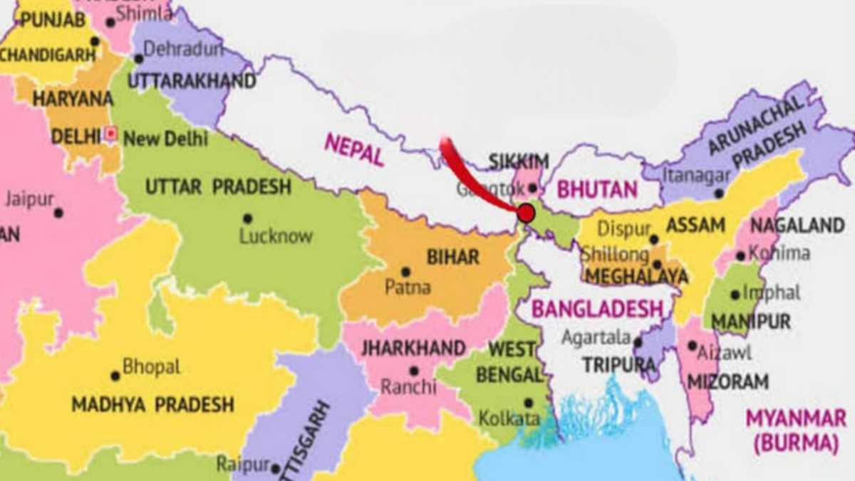 চিকেন নেক