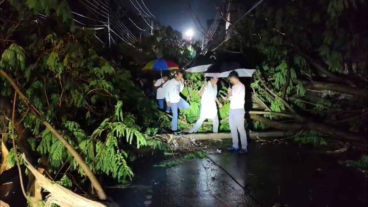 গাছ পড়ে রাস্তা বন্ধ