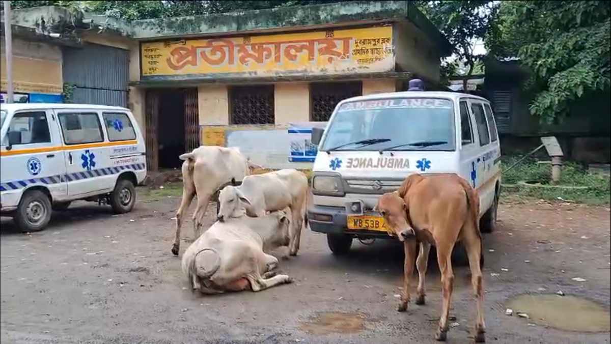 দুবরাজপুর গ্রামীণ হাসপাতাল