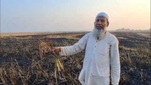 ক্ষতিগ্রস্ত চাষি