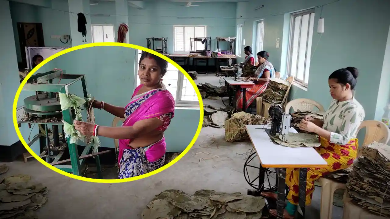 Tribal Womens making plates with Sal Leaf