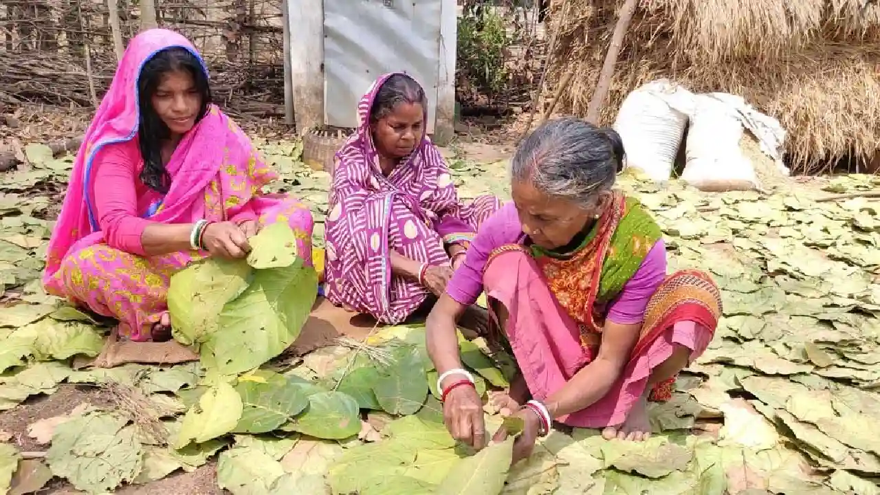 Tribal Womens working with Sal Leafs